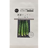 【自然農法の種】 鮮緑キュウリ グリーンフィールドプロジェクトのタネ