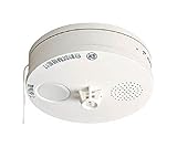 パナソニック(Panasonic) 熱当番薄型電池式・移報接点付 SHK38153 62-3531-28