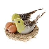 Homyl バードケージバスケット　小さい　動物　窓装飾　照明カメラ