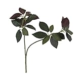 アップルリーフ FXLS0018GR