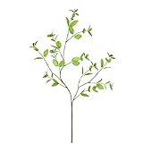 ユーカリブランチ FXLS0029GR