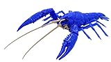 自由研究シリーズ No.24 EX-1 いきもの編 アメリカザリガニ(ブルー) プラモデル