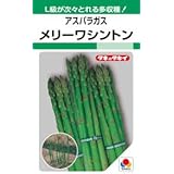 タキイ種苗 アスパラガス メリーワシントン