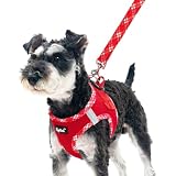 PUPTECK 犬 ハーネス リード セット 抜けない 胴輪 調整可能 軽量 メッシュ 通気性 ソフト 快適 着脱簡単 反射材付き 引っ張り防止 喉に優しい 耐久性 散歩 アウトドア 安全 老犬介護 しつけ おしゃれ 超小型犬 小型犬 中型犬 柴犬（レッド, Sサイズ）