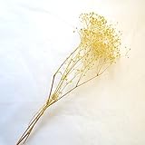 カスミソウ　イエロー　プリザーブドフラワー　少量パック