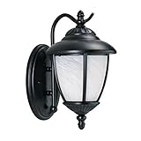 Sea Gull Lighting 89049BLE-12 Outdoor Sconce with Swirled Marbleize?Glass Shades, Black Finish [並行輸入