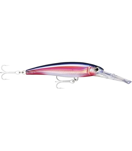 Amazon.co.jp: ラパラ(Rapala) エックスラップマグナム XR20MAG-BSCD