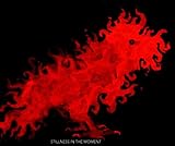 STILLNESS IN THE MOMENT