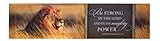 Be Strong in the Lord Ephesians 6:10 Resting Lion 18 x 4 Wrapped Canvas Print Wall Decor [並行輸入品]