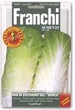 【FRANCHI社種子】【40/49】リーフチコリ　PAN DI ZUCCHERO SEL."この項目に記