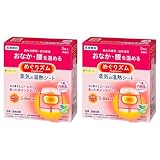 【まとめ買い】2個セット 蒸気の 温熱シート 下着の内側面に 貼るタイプ5枚