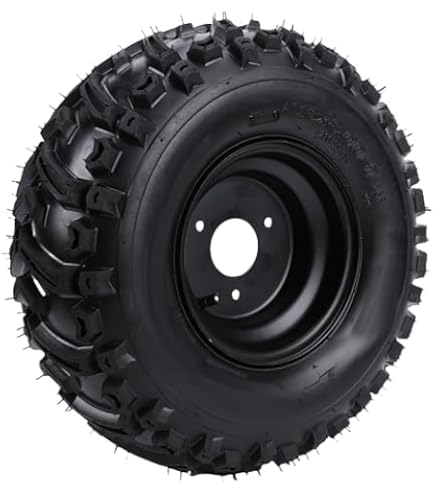 Amazon | PHOENIX 超扁平 チューブレス タイヤ 12インチ 205/30-12 ATV