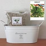 イタリアンパセリの栽培セット/標準セット（液体肥料なし）プランターホワイト仕様