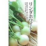【種子】20日大根 リンダホワイト 1.000粒