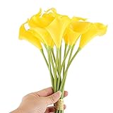 Nice Days（ナイス　ディズ）　　オランダカイウ　造花ホ　フラワー　部屋インテリア10本入り