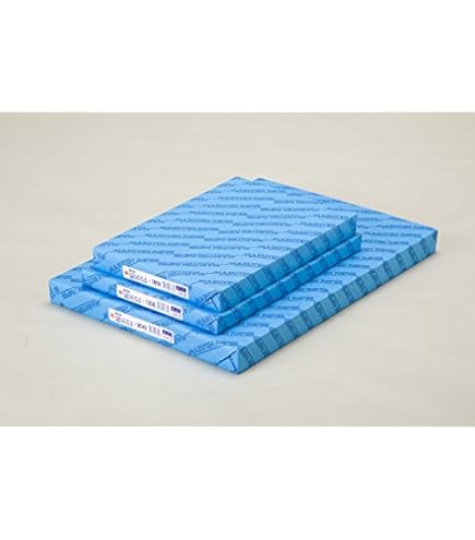 Amazon | マルテン 画用紙 雪だるま 中厚口 100枚 八ツ切