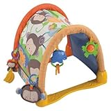 Fisher Price My Little SnugaMonkey Kick 'n Crawl Gym by Fisher-Price