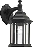 Forte Lighting 1715-01-04 Exterior Wall Light with Clear Beveled Glass Shades, Black [並行輸入品]