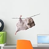 Little Dwarf Hamster Wall Decal by Wallmonkeys Peel and Stick Animal Graphics (18 in H x 18 in W) WM