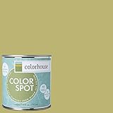Inspired Eggshell Interior Colorspot Paint Sample, Leaf .04, 8-oz [並行輸入品]