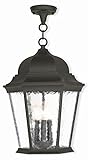 Livex Lighting 75475-14 Textured Black Outdoor Semi-Flush Mount with Clear Water Glass [並行輸入品]