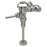 Zurn Z6003-WS1 Aqua Flush Exposed Flush Valve for Urinal, 1.0 GPF [並行輸入品]