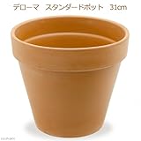 イタリア製テラコッタ鉢 スタンダードポット 31cm