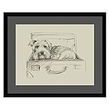 アマニアートStowaway I (犬) by Ethan Harper DSW3909199
