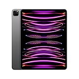 2022 Apple 12.9インチiPad Pro (Wi-Fi + Cellular, 2TB) - スペースグレイ (第6世代)