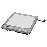 アイリスオーヤマ IHクッキングヒーター ビルトインタイプ100V IHC-B111 家電 その他の家電 top1-ds-1946450-ak [簡易パッケージ品]