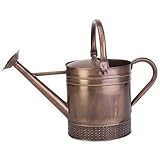 PANACEA PRODUCTS CORP 2Gal Brsh Cop Wtr Can [並行輸入品]