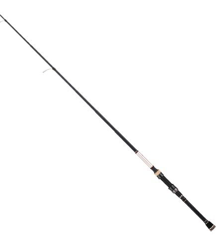 テイルウォーク OUTBACK NS 886L アウトバック Amazon | テイルウォーク(tailwalk) ロッド アウトバック ビヨンド
