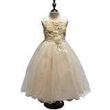 WIN 子供ドレス トリプルリ 子どもドレス 　お嬢様 　ドレス　フォーマル ピアノ 発表会 結婚式 入園式 演奏会 プリンセスドレス 女の子 女児 ガールズ ノースリーブ (100CM, シャンパン