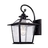 Acclaim 9702BK Salem Collection 1-Light Wall Mount Outdoor Light Fixture, Matte Black [並行輸入品]