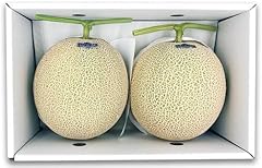 【2025年8月～9月発送分先行受付】置賜産マスクメロン（アールスメロン）約1.75kg～2.0kg×2玉_H136(R7)