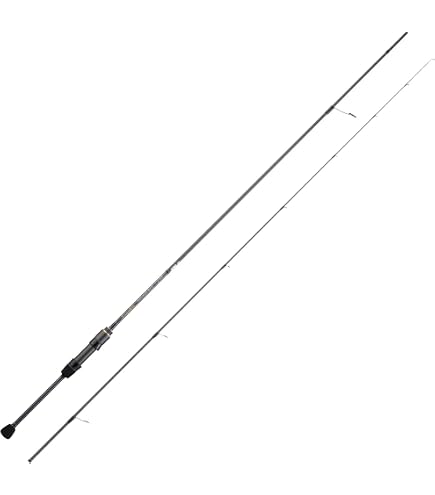 Amazon | 天龍(Tenryu) ロッド ルナキア LK752S-MMHT | 天龍(Tenryu