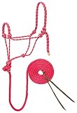 Weaverレザーダイヤモンド三つ編みロープHalter &リード