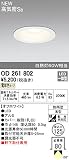 オーデリック　エクステリアライト 【OD 261 802】【OD261802】