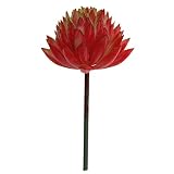 【ノーブランド 品】観葉植物　エケベリア　枯れない　人造　人工植物　飾り物　緑