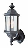 Trans Globe Lighting 4290 SWI 16-1/2-Inch 1-Light Outdoor Up Wall Lantern, Swedish Iron [並行輸入品]