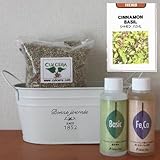 シナモンバジルの栽培セット/豊作セット（液体肥料付き）プランターホワイト仕様