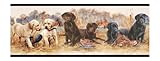 York Wallcoverings Lake Forest Lodge That 's My Puppy Border Sample 1