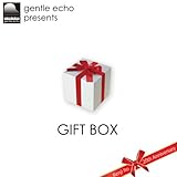 GIFT BOX-Kenji Ito 20th Anniversary