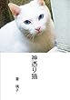 神憑り猫