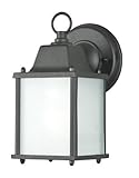 1 Light Outdoor Wall Lighting [並行輸入品]