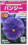 【種子】パンジー LRアリル クリアライトブルー 0.1ml