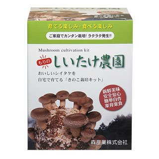 シイタケ栽培キット 【もりのしいたけ農園】