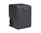 Phoenix 69ES1Z2040 20/40 PSI Water Pump Switch (Furnas type) [並行輸入品]