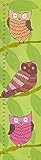 Green Leaf Art Growth Chart, Owls on Green Garden [並行輸入品]