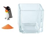 花市場直送便 ミニチュアガラス キングペンギン & カラーサンド オレンジ & 植え込み用グラス ニューブロックS